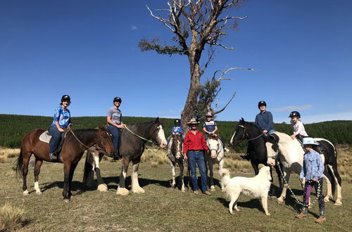 Photo 9 - High Country Trail Rides & Farm Stay