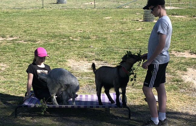 High Country Trail Rides & Farm Stay - Photo 21