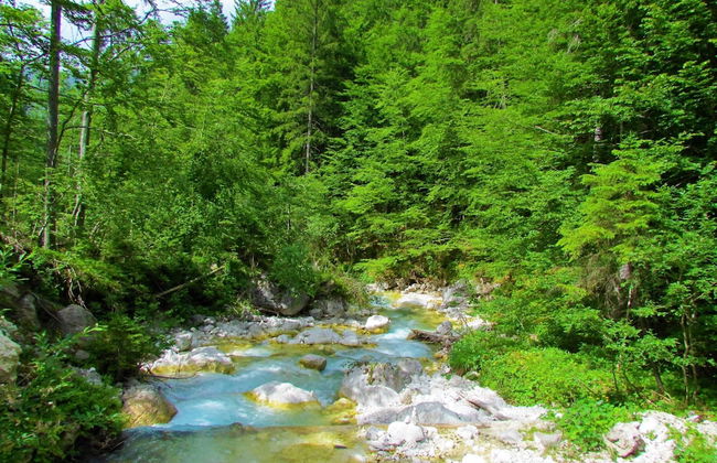 Pool Villa Katja Kranjska Gora - Foto 27