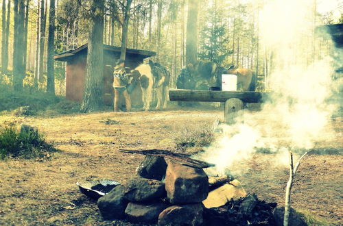 Photo 18 - Farmhouse With Facilities in the Middle of Nature