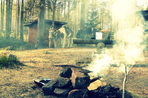 Photo 18 - Farmhouse With Facilities in the Middle of Nature