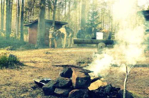 Photo 17 - Farmhouse With Facilities in the Middle of Nature