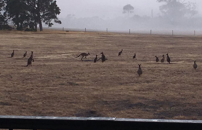 Margaret River Farmhouse - Foto 20