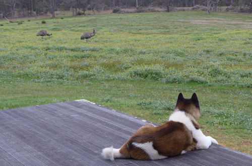 Photo 17 - Margaret River Farmhouse