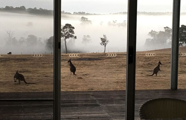 Margaret River Farmhouse - Foto 19