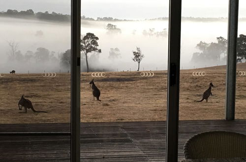 Photo 19 - Margaret River Farmhouse