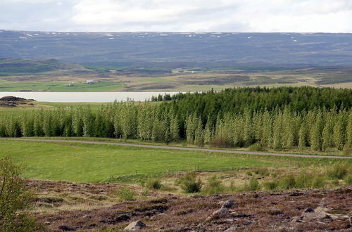 Photo 27 - Skarðás Country Cabins