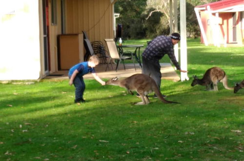 Photo 25 - Kalgan River Chalets and Caravan Park