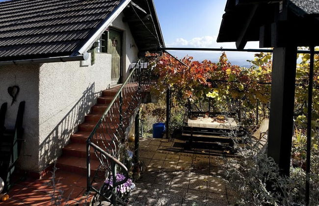 Vineyard cottage Verček - Foto 11