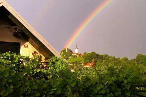 Photo 26 - Vineyard cottage Verček