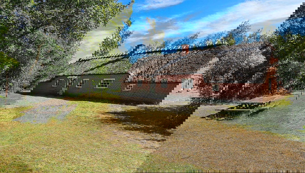 Imagem principal