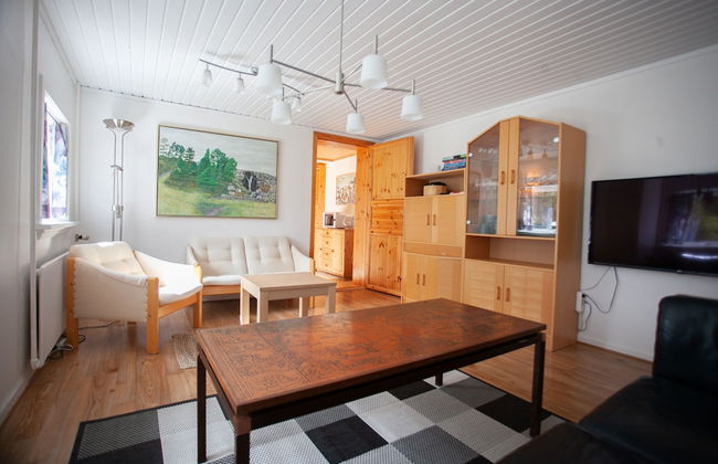 Red Robin - Vacation homes next to Svartifossur waterfall - Photo 32