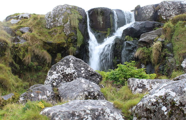 Red Robin - Vacation homes next to Svartifossur waterfall - Photo 62