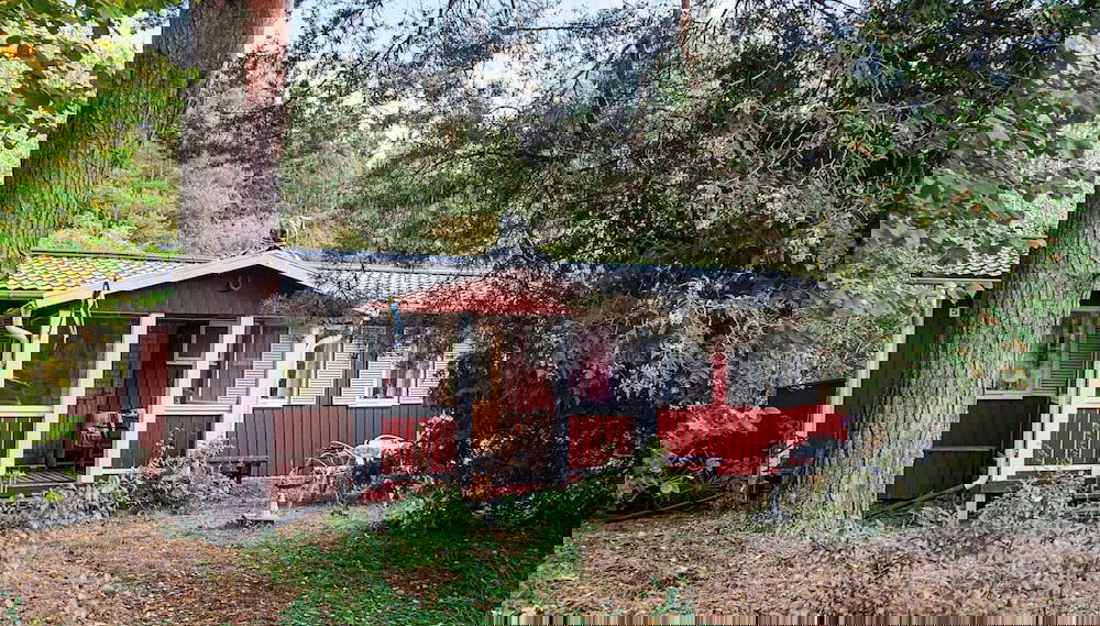Imagem principal