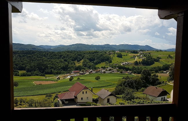Country House Mirt - Photo 9