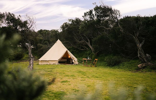 Torquay Foreshore Caravan Park - Foto 40