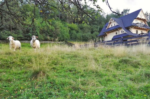 Photo 23 - Beautiful Large Villa in Tylmanowa