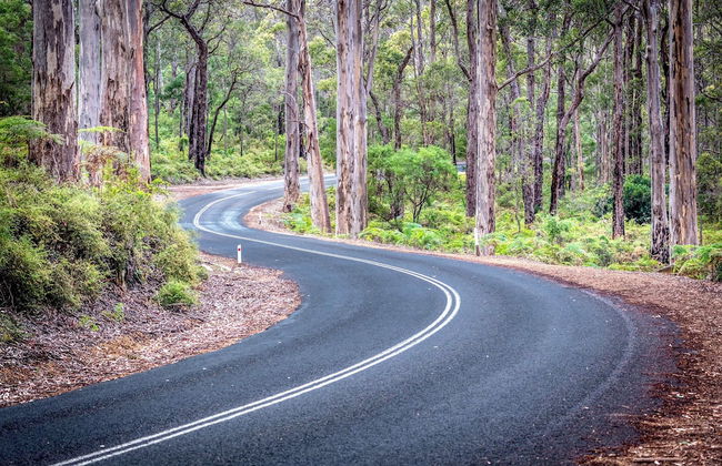 Margaret River Hideaway - Foto 56