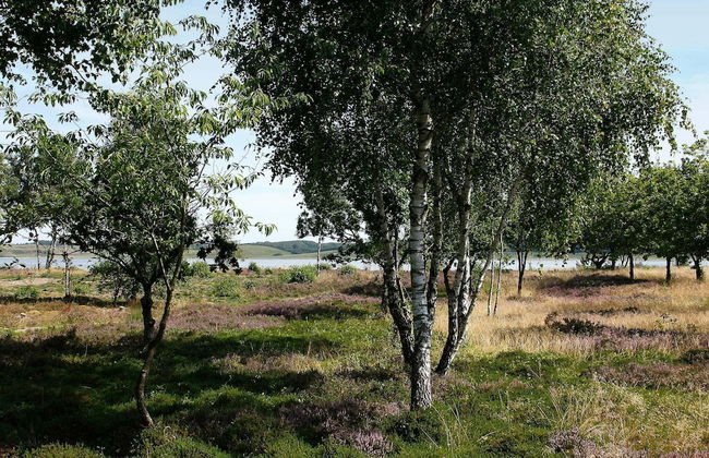 8 Person Holiday Home in Hojslev-by Traum - Foto 30