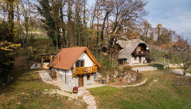 Photo 1 - Vineyard cottage Rataj 2