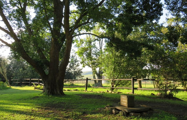 Anford Country House - Foto 16