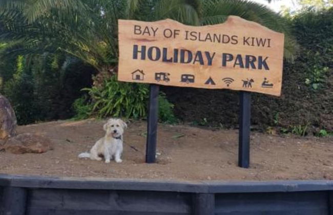 Bay of Islands Holiday Park - Photo 54