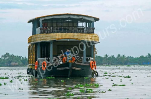 Photo 27 - GuestHouser 3 BHK Houseboat 147b