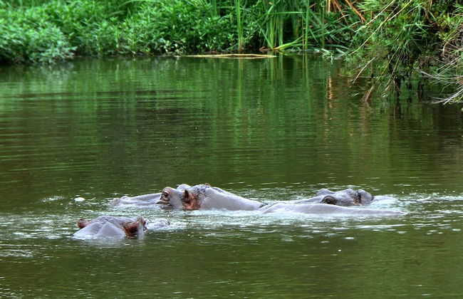 Kruger Park Lodge unit No. 608A - Foto 31