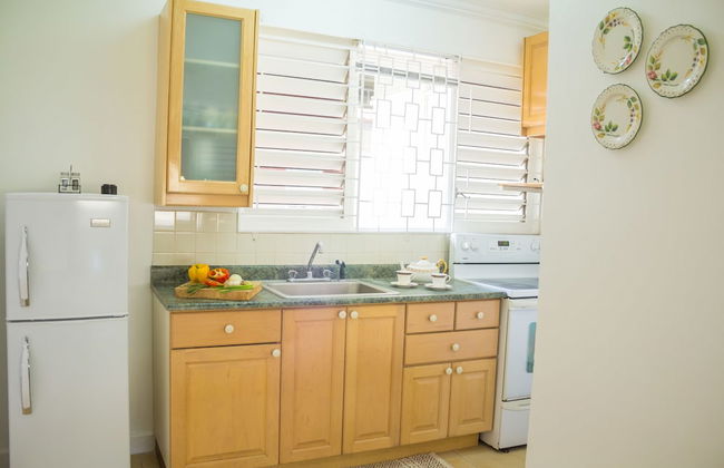 Kingston Luxury Condo Apartment - Photo 5