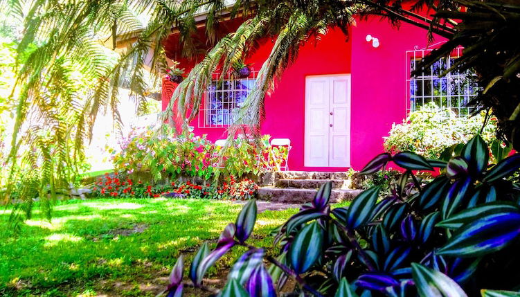 Photo 1 - Pink house