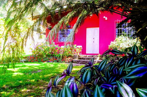 Photo 1 - Pink house