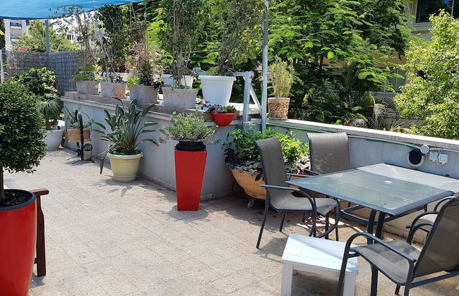 INDIGO TLV - Photo 12