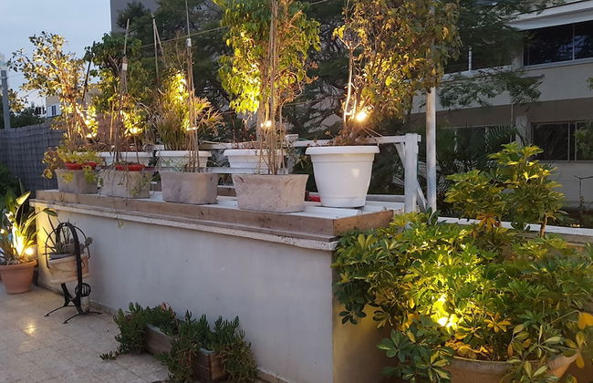 INDIGO TLV - Photo 1