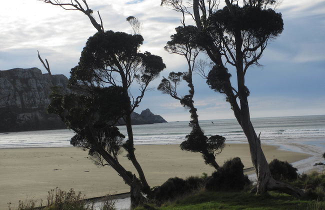 Catlins Lake Sanctuary - Foto 13