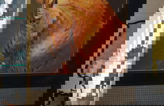 Foto 5 - Jumeirah Living Guangzhou - Residences