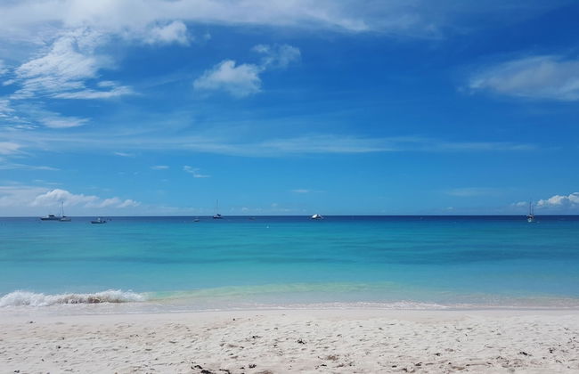 Carlisle Bay House - A Vacation Rental by Bougainvillea Barbados - Foto 11