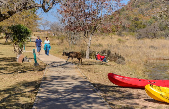 Waterberg Game Park - Foto 38