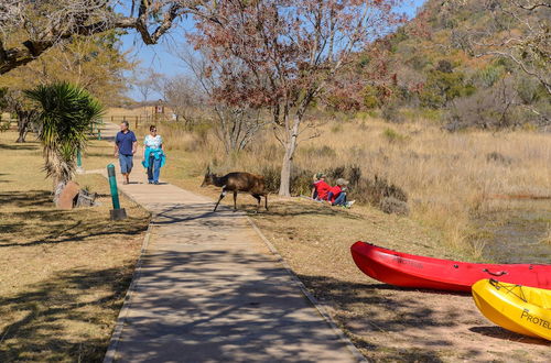 Photo 38 - Waterberg Game Park