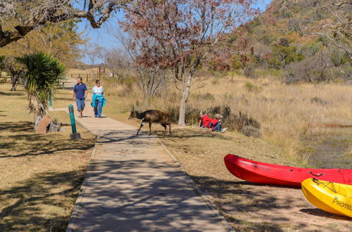 Photo 29 - Waterberg Game Park