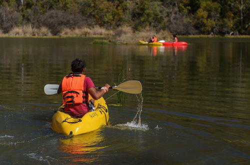 Photo 40 - Waterberg Game Park