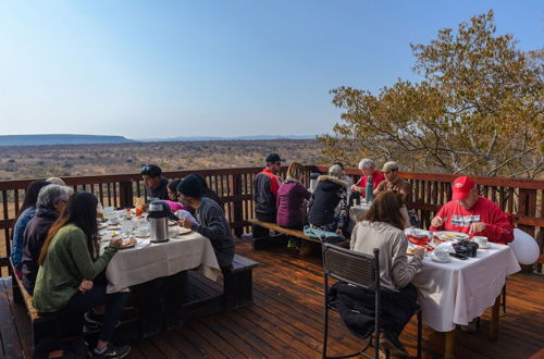 Photo 57 - Waterberg Game Park