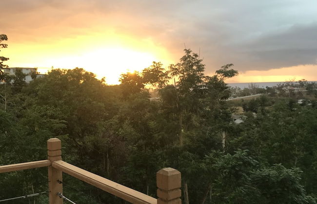 Mango Hill Retreat - Foto 20
