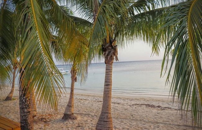 Posada Seremein - Photo 44