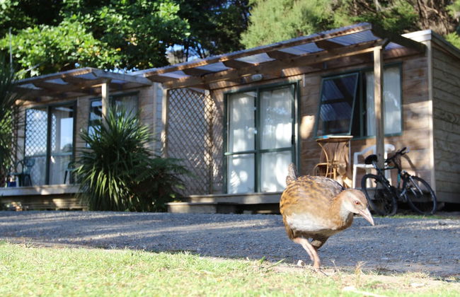 Russell - Orongo Bay Holiday Park - Foto 4