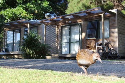 Photo 4 - Russell - Orongo Bay Holiday Park