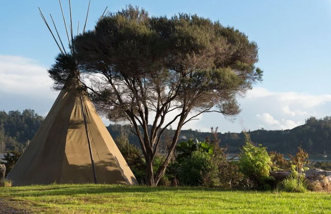 Russell - Orongo Bay Holiday Park - Foto 66