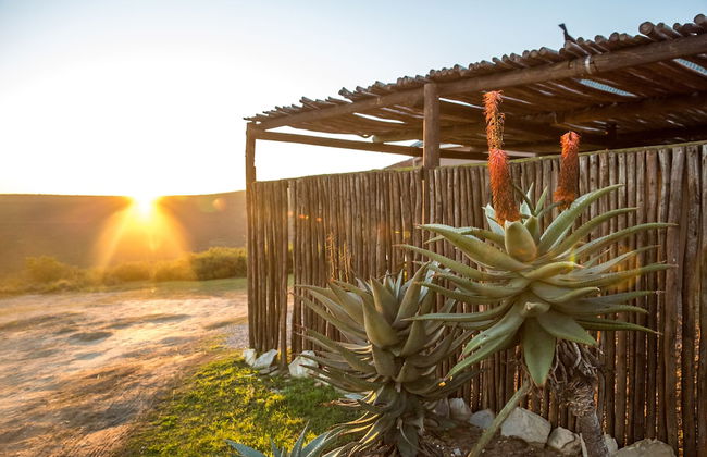 Melozhori Game Reserve - Photo 10