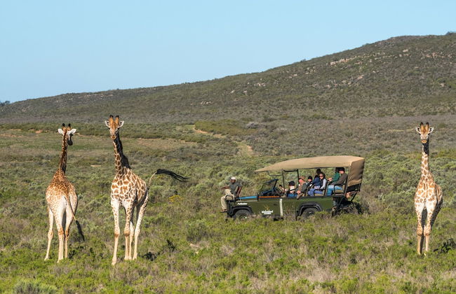 Melozhori Game Reserve - Photo 1