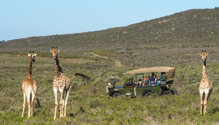 Foto 1 - Melozhori Game Reserve