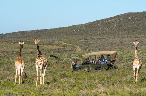 Foto 1 - Melozhori Game Reserve